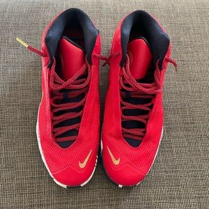 Airmax Audacity (Anthony Davis)